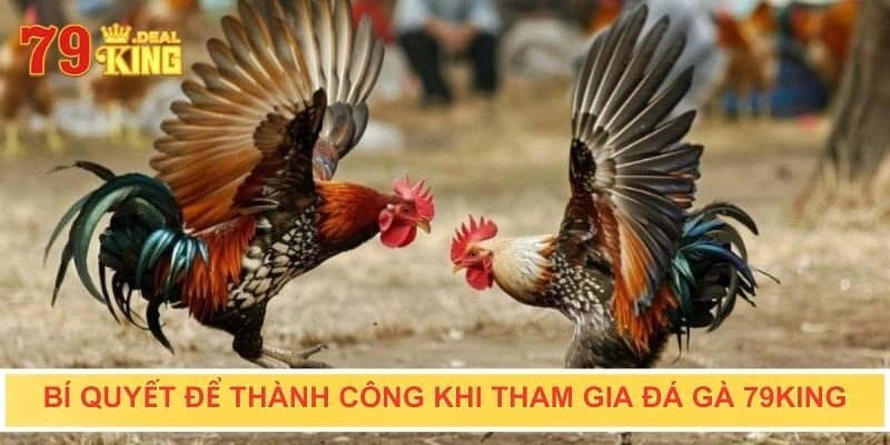 Bí quyết để thành công khi tham gia đá gà