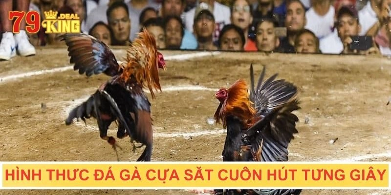 Hình thức đá gà cựa sắt cuốn hút từng giây thi đấu