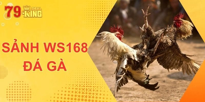 WS168 Đá Gà - Sảnh Cược 79KING Đình Đám Khắp Châu Á